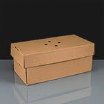 Disposable Double Burger Box: Pack of 100