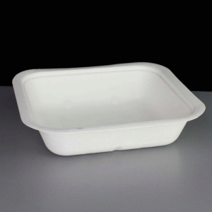 Compostable 22oz V4 Square Gourmet Food Container Base