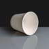 12oz White Paper Soup Container 