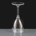 BB143-1CL CE 312ml Large Polycarbonate Wine Glass CE Lined at 250ml