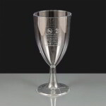 Classic Plastic Wine Glass