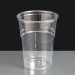 20oz Clear Plastic Smoothie Cups