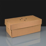 Disposable Double Burger Box: Pack of 100