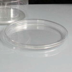 DPL Optional Lid for 8oz / 12oz / 16oz / 24oz / 32oz Deli Pots