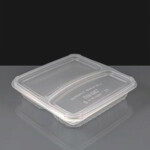 Clear 2 Compartment Square Plastic Container and Lid
