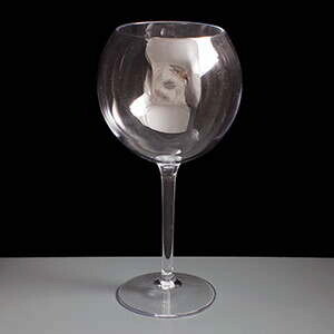Plastic Gin Glasses