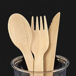 Disposable Cutlery