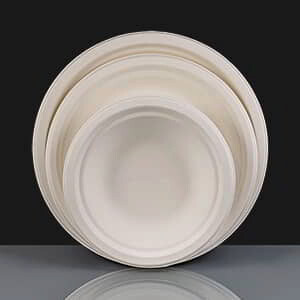 Disposable Tableware