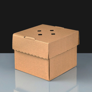 Premium Gourmet Burger Boxes : Cardboard: Box of 100