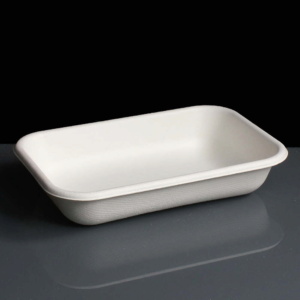 16oz Compostable WorldView Take Away Containers