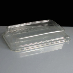 Plastic Lid for 24/32oz WorldView Take Away Containers