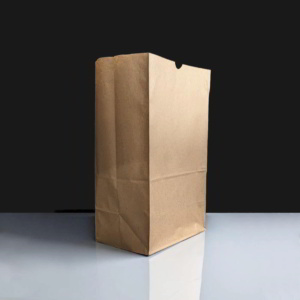 Large Kraft Grab Bag - Box of 500