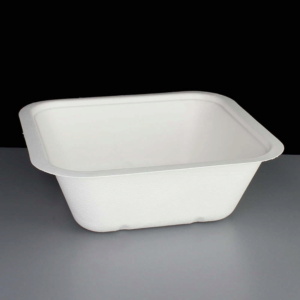 Compostable 32oz V4 Square Gourmet Food Container Base