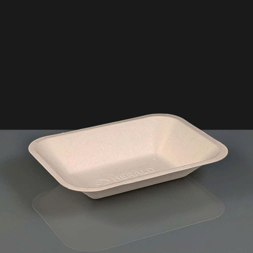 Bagasse Chip Tray