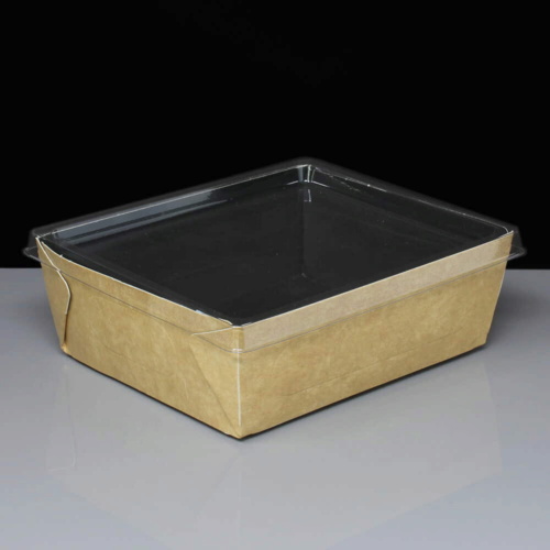 Small Coalesce Kraft Container & Clear Plastic Lid 500ml