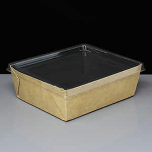 Small Coalesce Kraft Container & Clear Plastic Lid 500ml
