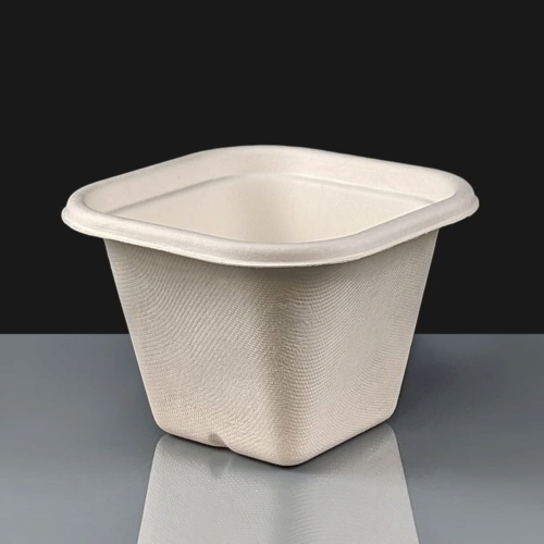 BioPak 630ml White Biocane Takeaway Container