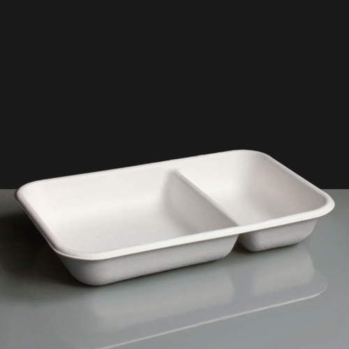 24oz 2 Compartment Compostable WorldView Take Away Containers