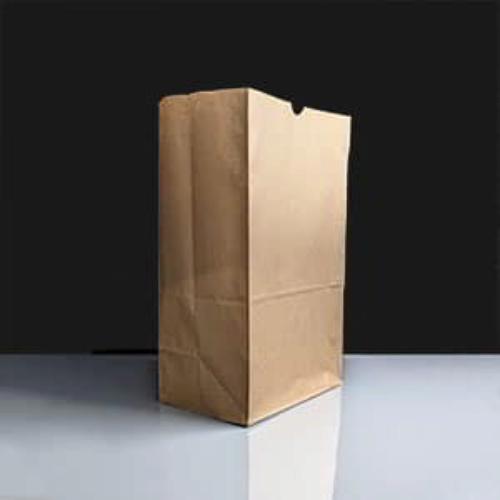 Extra Large Kraft Delivery Bag