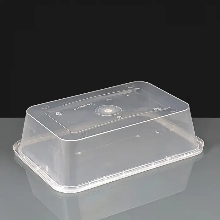 Economy 650cc plastic takeaway container and lid