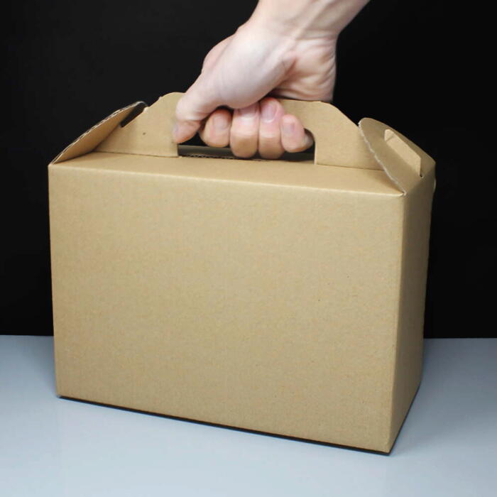 Large Corrugated Carry Box / Handled Lunch Box