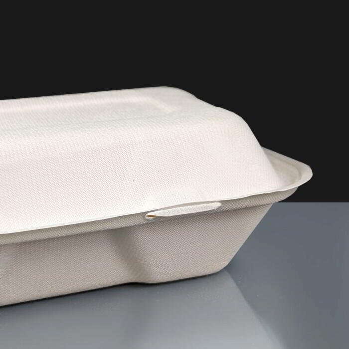 White Compostable Bagasse Kebab Boxes