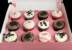 PINK Windowed Cupcake Boxes with 12 Cavity Insert