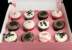 Pink 12 Hole Cupcake Boxes with Window