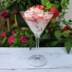 Polycarbonate Plastic Martini Glass