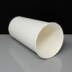 16oz Plain White Paper Cup