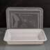 28oz White Plastic Container and Clear Lid