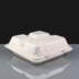 9x9" Compostable Meal Boxes - 3 Compartment