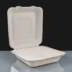 Compostable 9" Square Meal Box