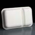 24oz 2 Compartment Compostable WorldView Take Away Containers