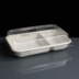 24oz 2 Compartment Compostable WorldView Take Away Containers