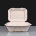 7x5" Compostable Food Box