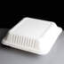 Compostable 8" Square Meal Box