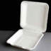 Compostable 8" Square Meal Box