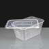 1000cc Clear Rectangular Plastic Container and Lid