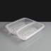 Clear 2 Compartment Square Plastic Container and Lid