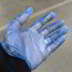 Large Blue Powdered Vinyl Gloves 