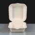 Biodegradable / Compostable 6" Burger Boxes