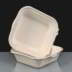 Biodegradable / Compostable 6" Burger Boxes