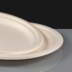 22cm (9") Large White Bagasse Plate