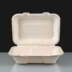 9x6" Compostable Bagasse Kebab Boxes