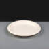 22cm (9") Large White Bagasse Plate
