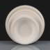 25cm (10") Extra Large White Bagasse Plate
