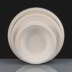 25cm (10") Extra Large White Bagasse Plate - Round