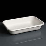16oz Compostable WorldView Take Away Containers