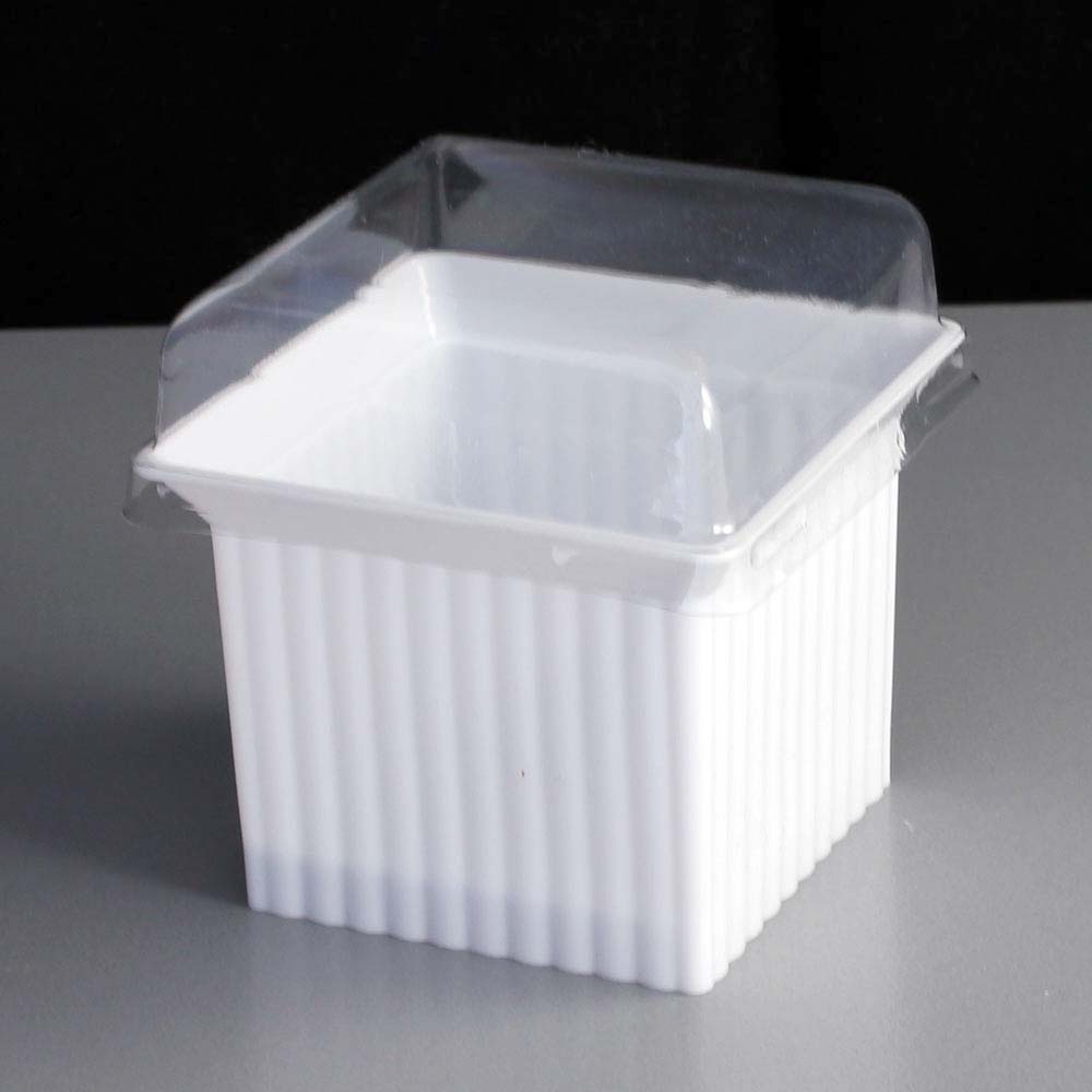 disposable plastic ramekins with lids